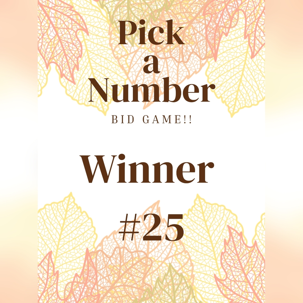Winner #25